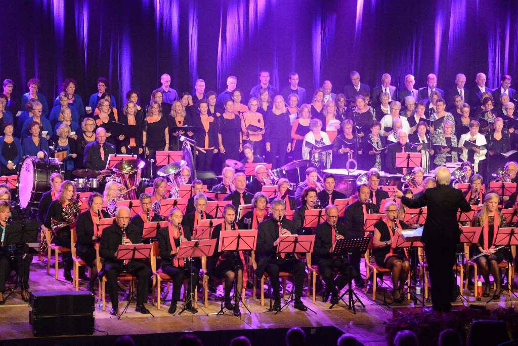 ../Images/Jubileumconcert 100 jaar Harpe Davids 035.jpg